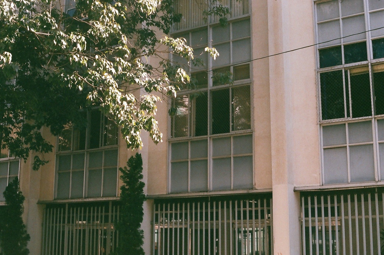 tumblr_p8xl96DRaT1v3ulnno1_1280
